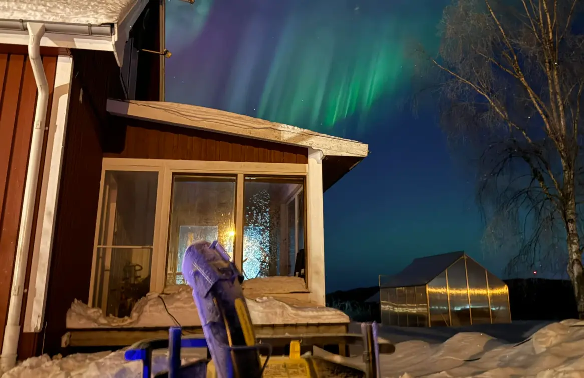 Hear from Yarbo Community