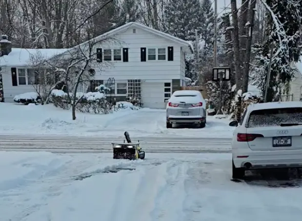 Hear from Yarbo Community