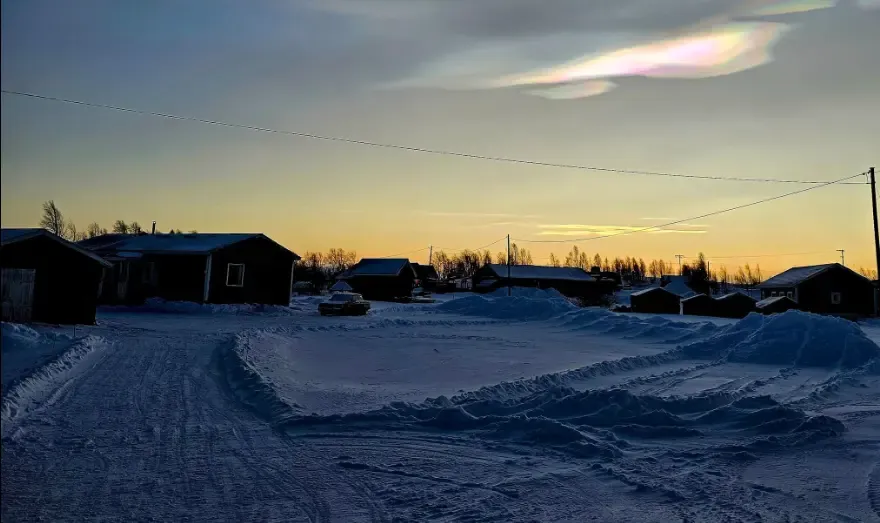 Hear from Yarbo Community