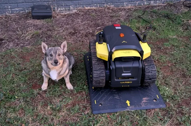 Hear from Yarbo Community