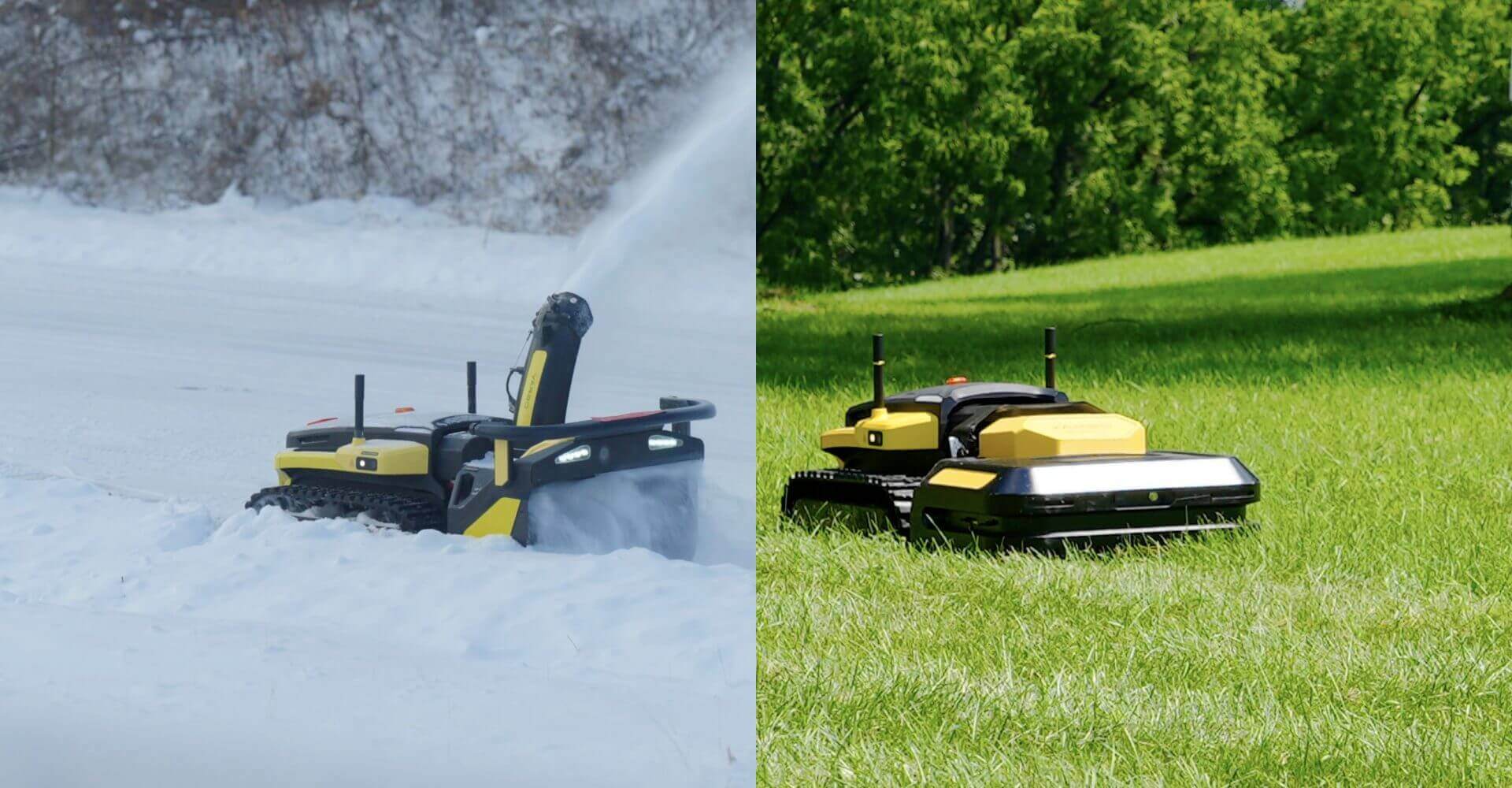 Spring Rejuvenation: Transforming Your Lawn from Winter Woes to Spring Wows!