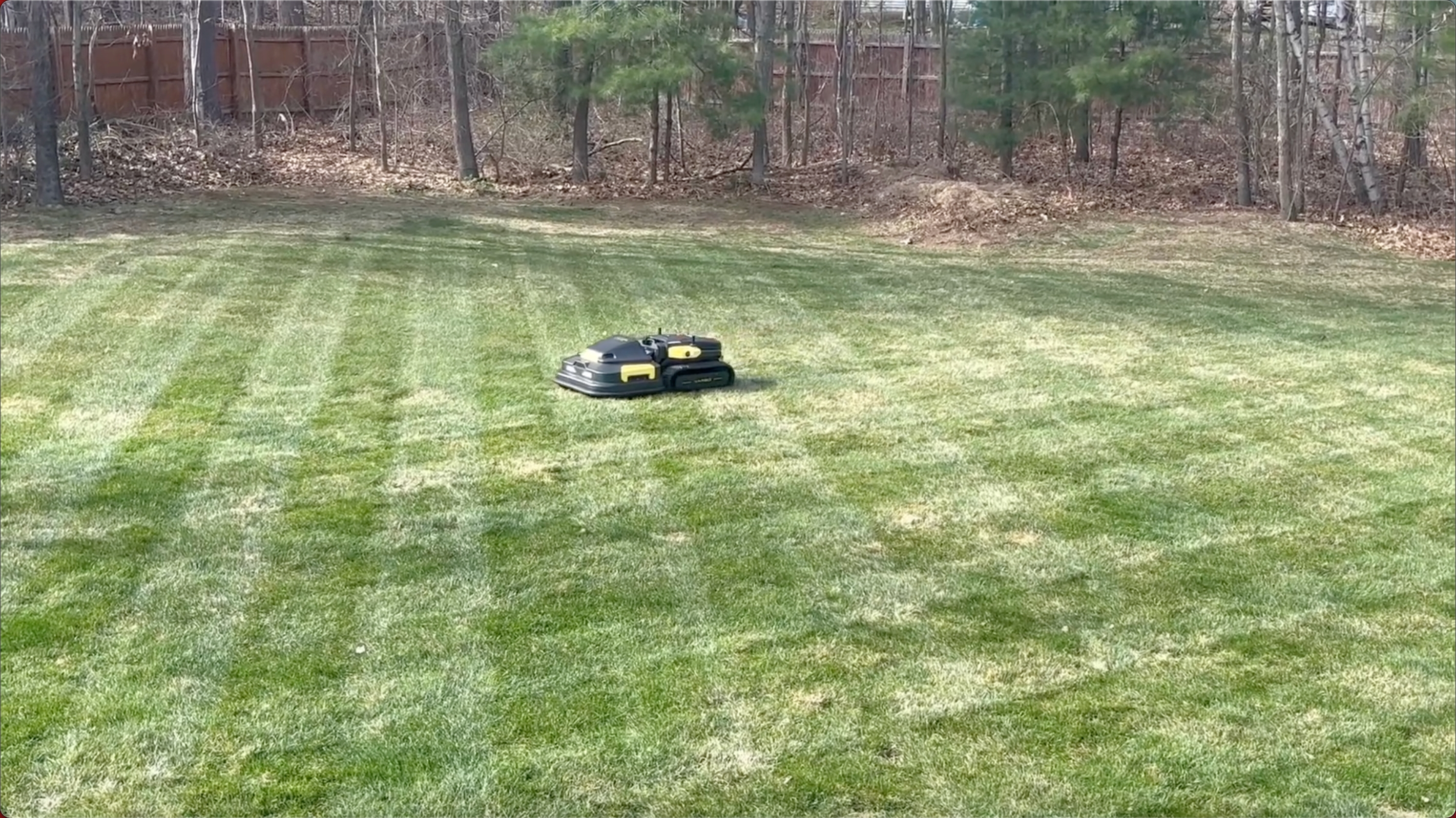 Autonomous mower on maintained grass with tree line