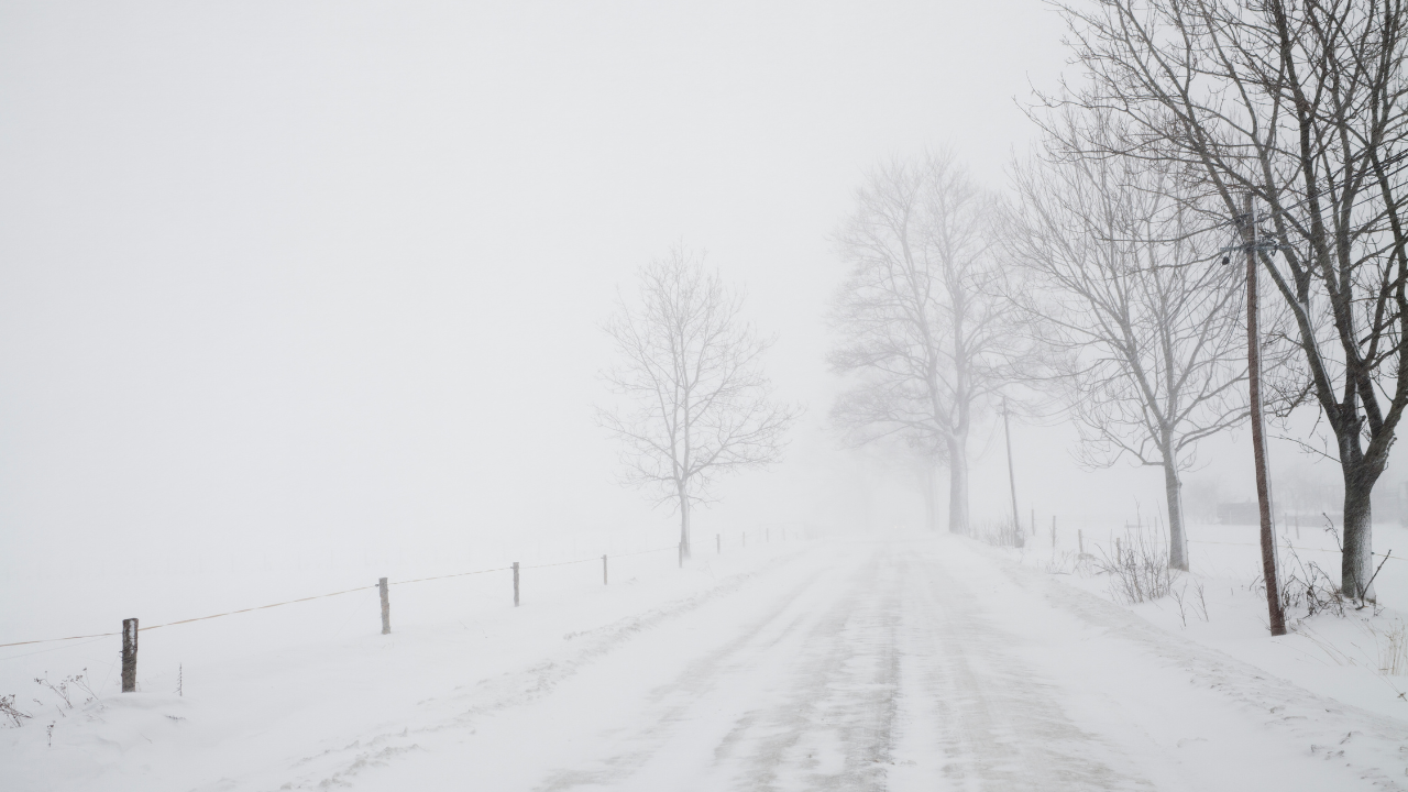 Snow blower vs snow shovel