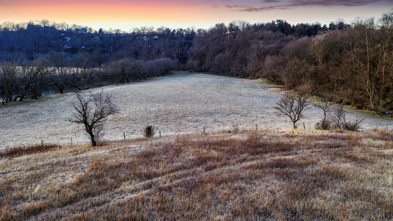 Winter frost covered lawn