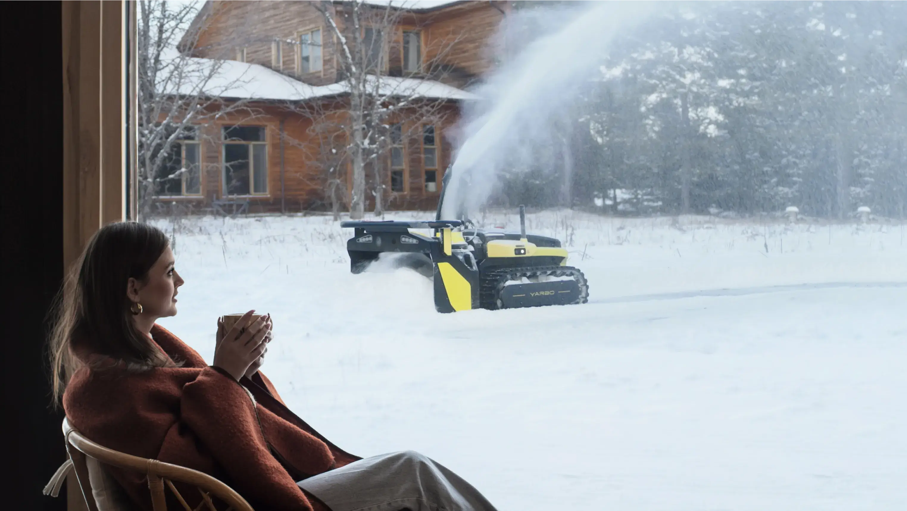 remove snow driveway