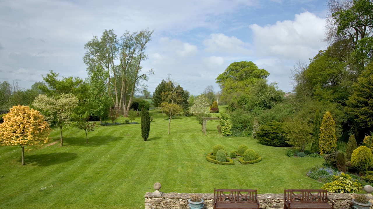 Beautiful striped lawn
