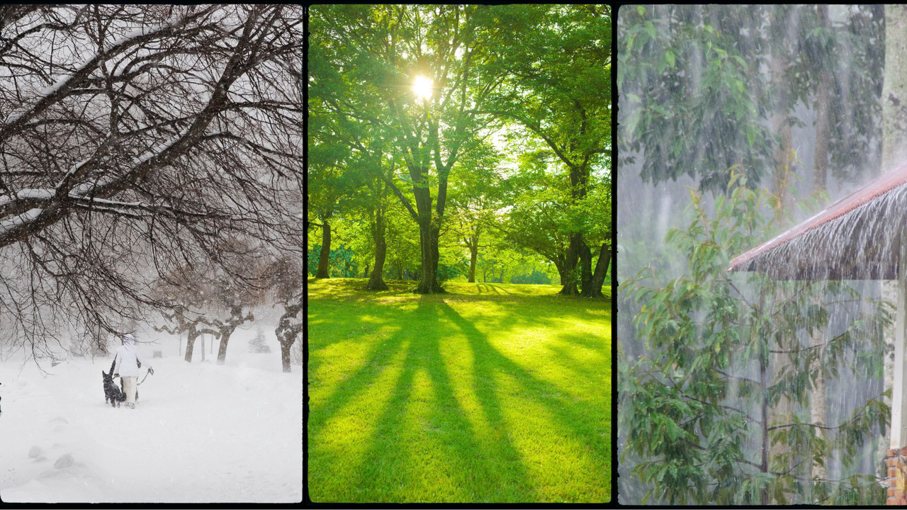 Extreme weather conditions - Cover image