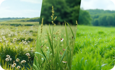 {"default":"Tough Lawn? No Problem-Yarbo"}
