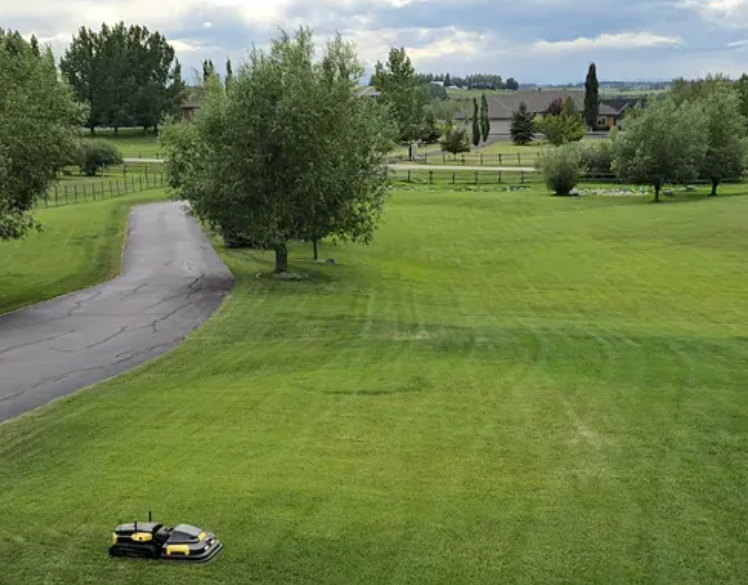 yarbo lawn mower in user yard