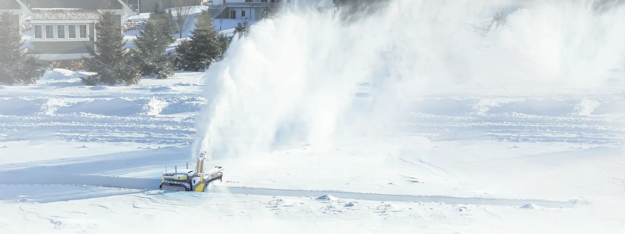 {"default":"Yarbo Snow Blower"}
