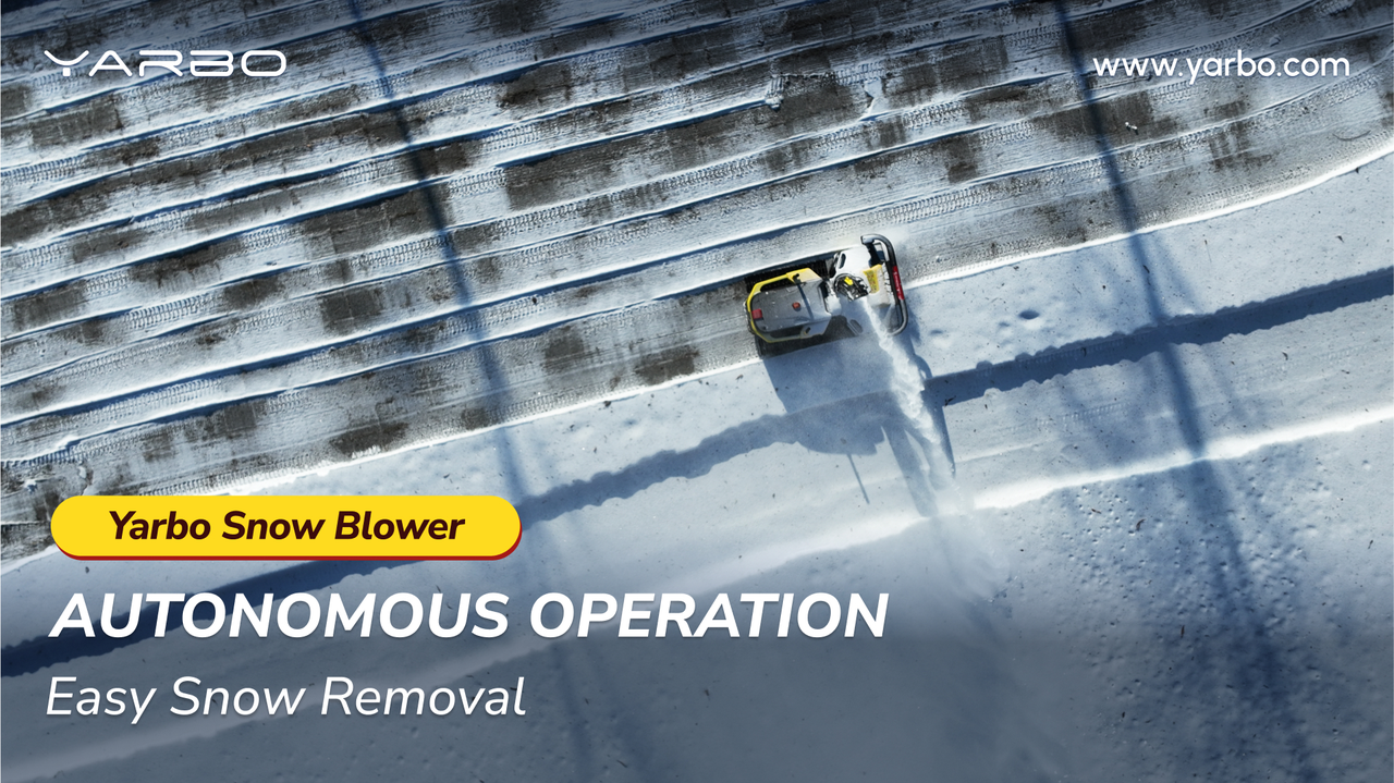 best snow blower for elderly