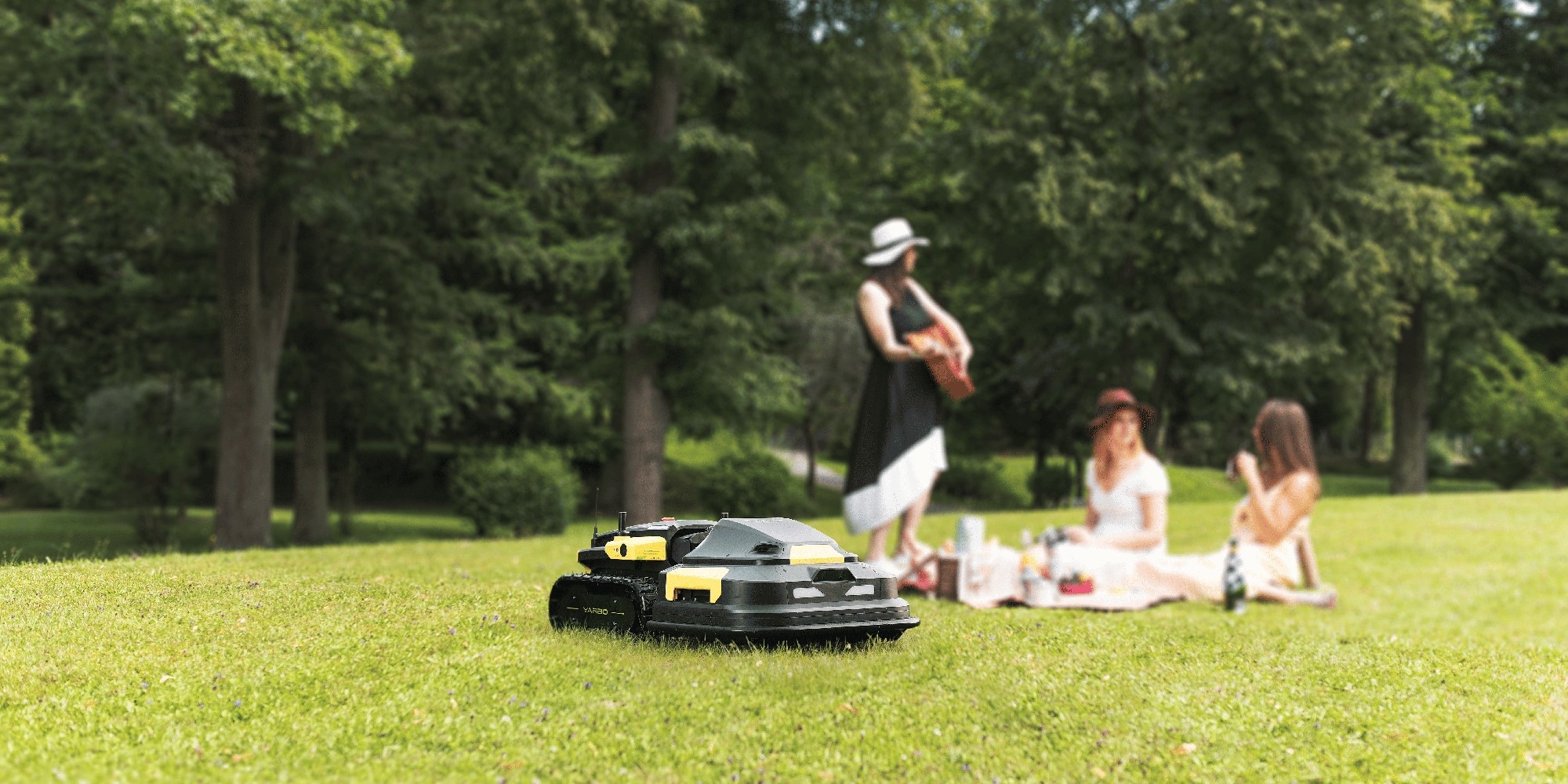 5 Essential Lawn Care Tools Every Homeowner Needs